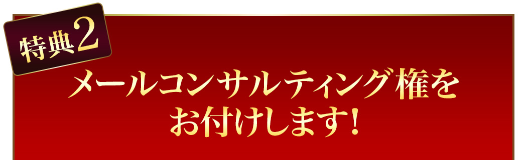 メールコンサルティング権をお付けします！
