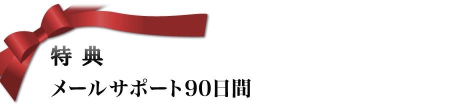 特典2 メールサポート90日間